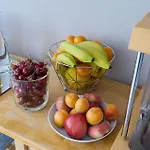 호텔 Les Mimosas 아르젤레쉬르메르