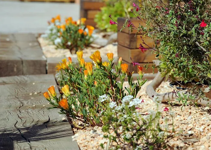 Les Mimosas Hotel 2*