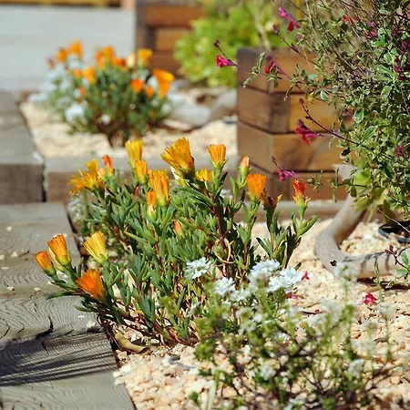 Les Mimosas Hotel 2*