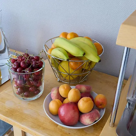 Hotel Les Mimosas Argelès-sur-Mer