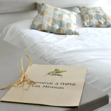 Отель Les Mimosas 2*